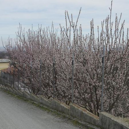 Agriturismo Ai Pruesot Bed & Breakfast Bagnolo Piemonte Luaran gambar