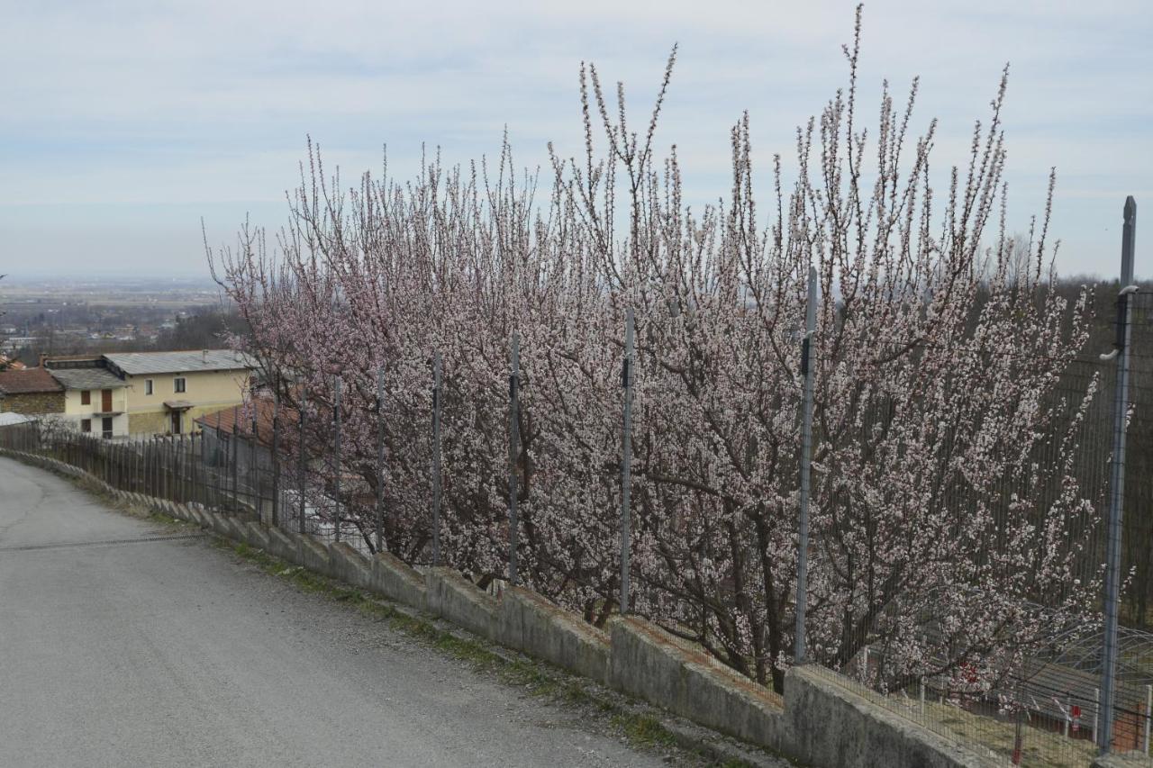 Agriturismo Ai Pruesot Bed & Breakfast Bagnolo Piemonte Luaran gambar